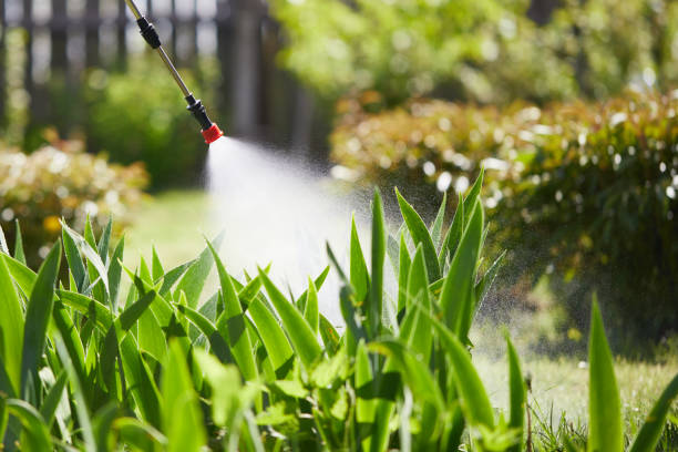 24/7 Emergency Wasp Removal experts in Tolono, IL